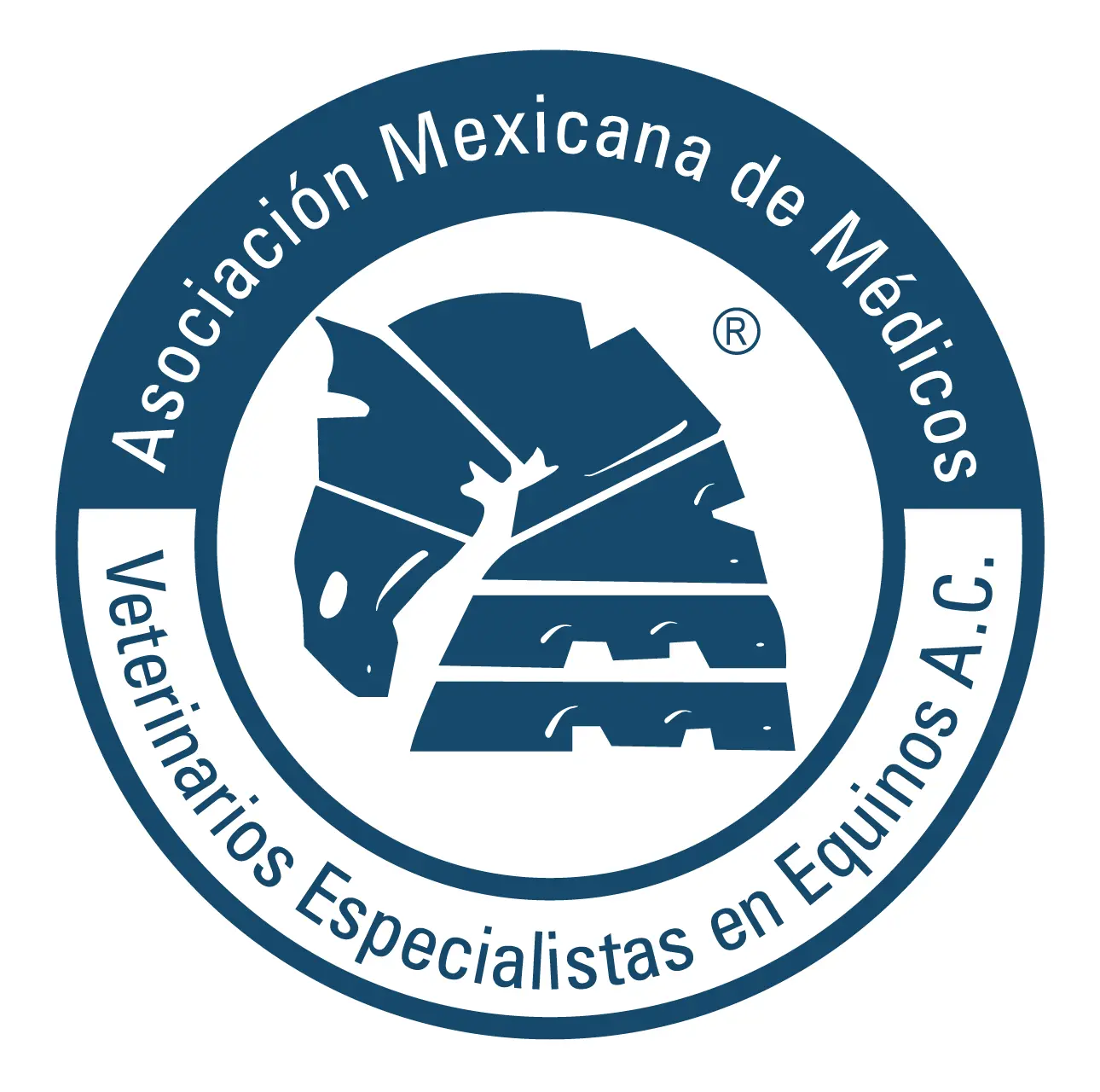 Asociación Mexicana de Médicos. Veterinarios Especialistas en Equinos A.C.