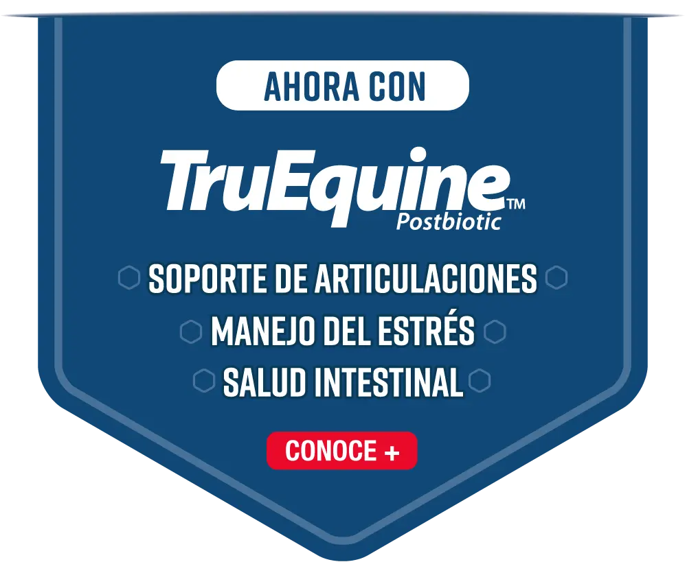 Bandera truequine